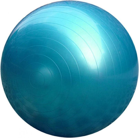 バランス・ボール セイフティー (Balance Ball Safety) – SOLTEC SWIM